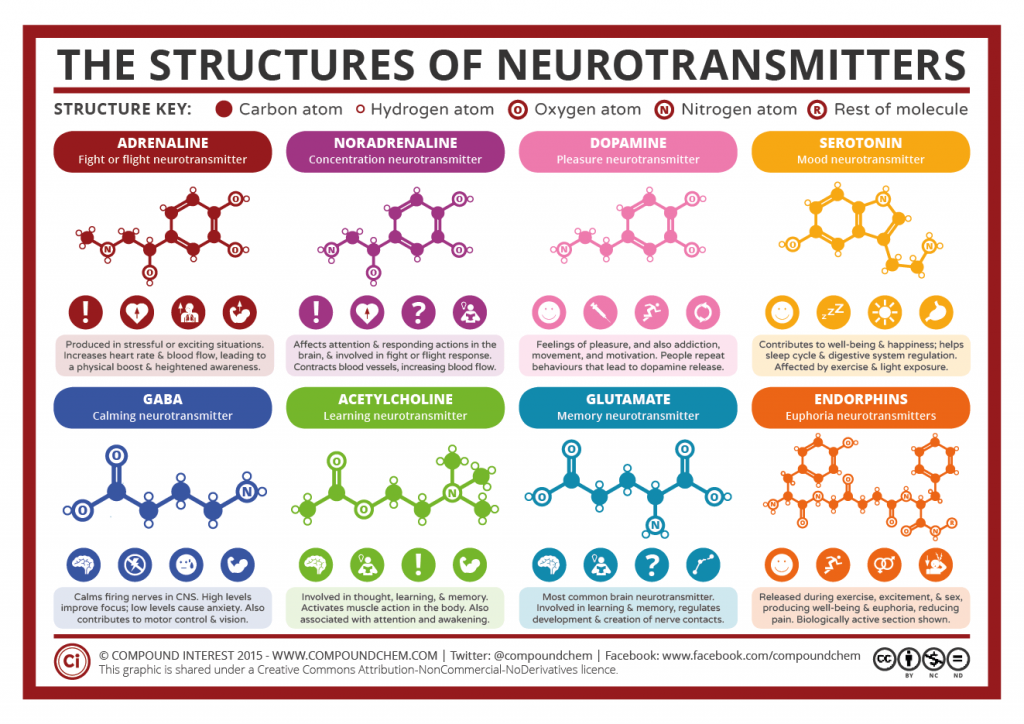 Chemical-Structures-of-Neurotransmitters-2015